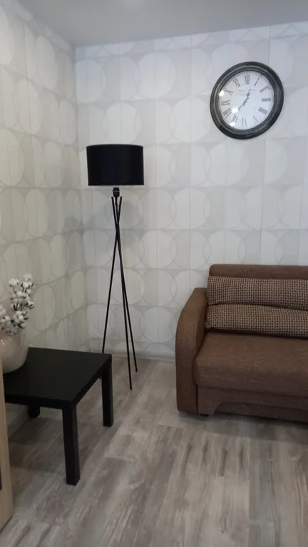 Уютная однокомнатная квартира