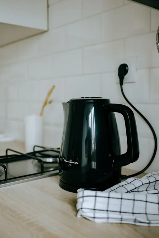 Квартира на Набережной Терека, у Мариинского театра