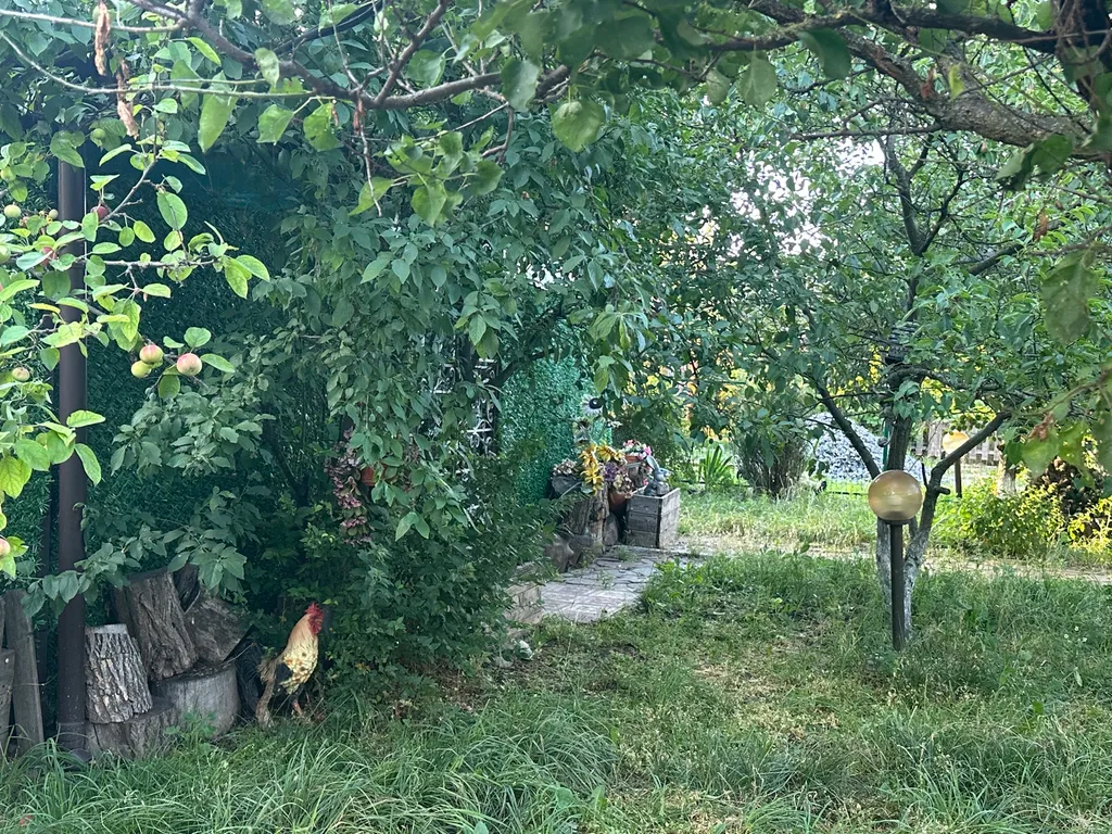 Уютный домик рядом с садом, хвойными деревьями, рядом с тц