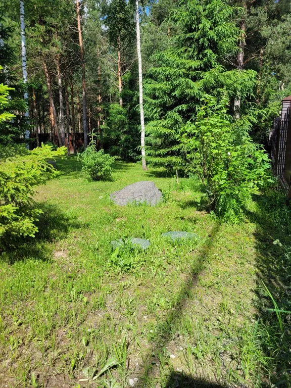 Дом в сосновом лесу