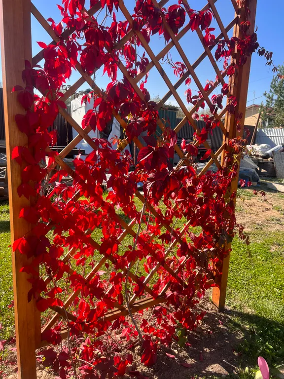 Уютный дом с баней