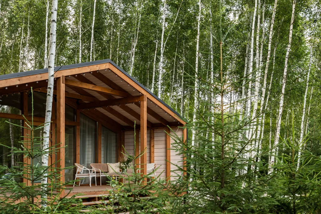 Дизайнерский дом в лесу
