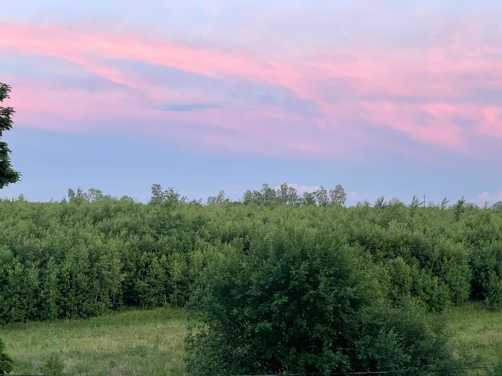 Квартира Квартира Комфортный отдых у моря — Светлогорск