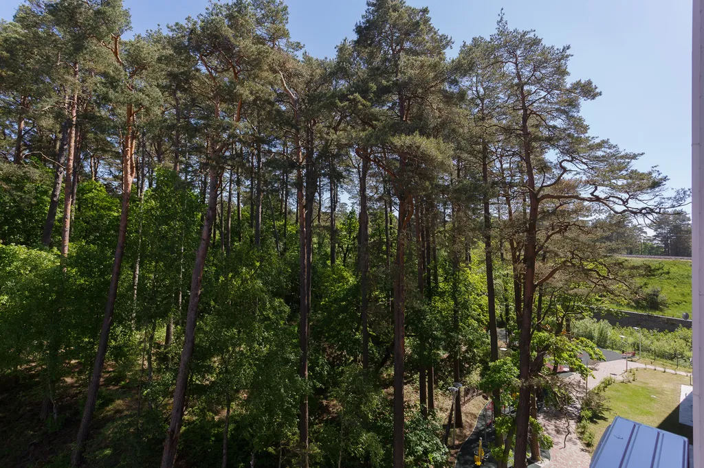 Квартира Квартира Silent lake apartment с видом на сосновый бор — Светлогорск