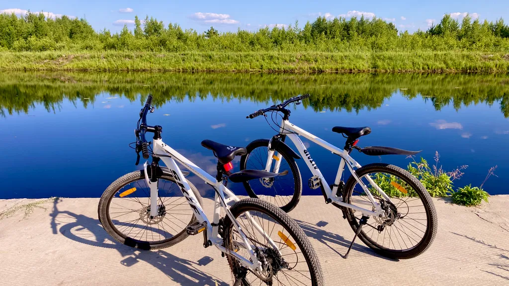 Коттедж Новый дом с баней и уличной джакузи — Ефимово