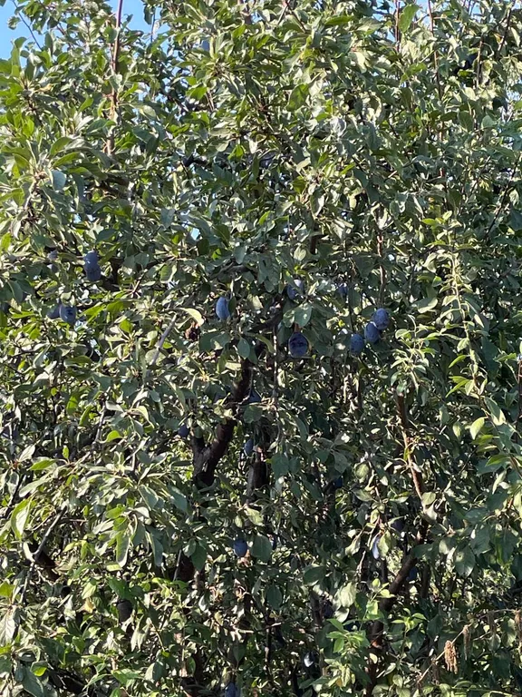 2-ком кв. В частном доме, идеальное место для отдыха