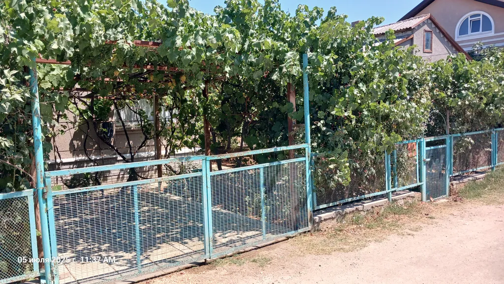 Дачный домик возле моря