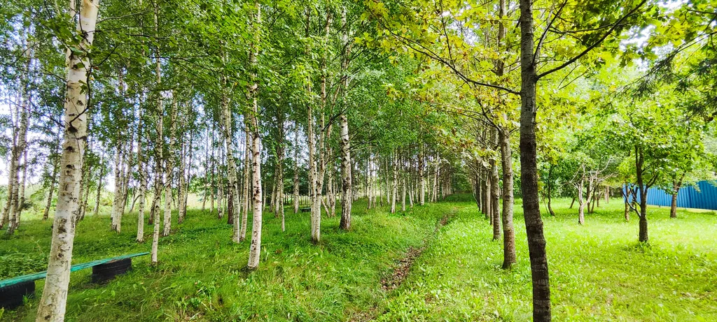 Уединенная дача с прудом и баней у Псковского озера