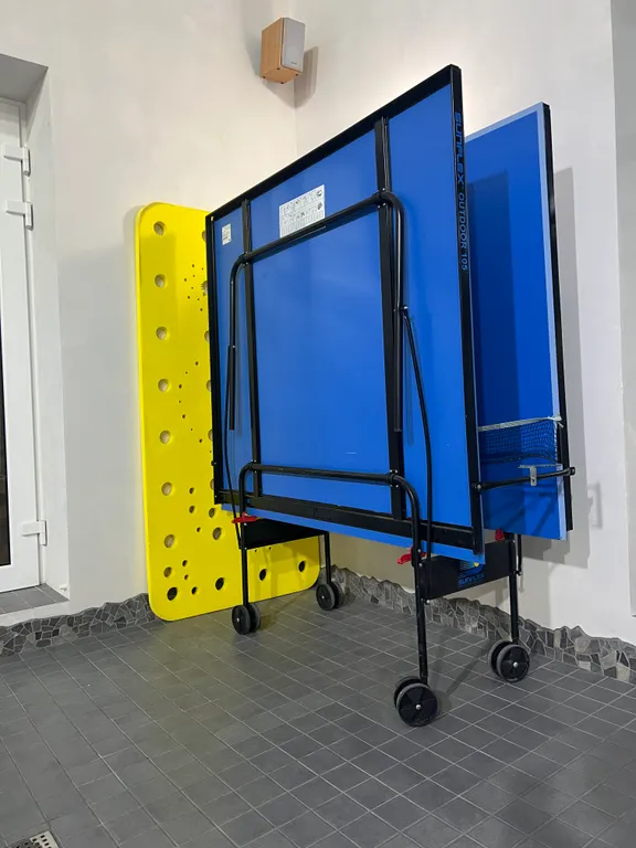 Дом с бассейном и бильярдом