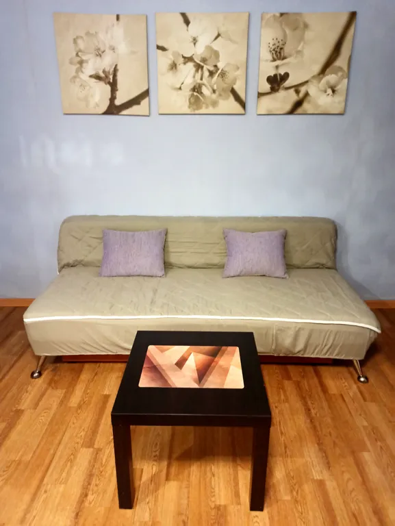 Квартира в центре города