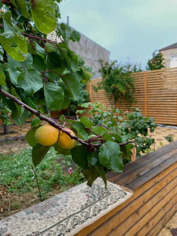 Коттедж Дом напротив крепостной стены — Дербент