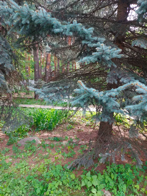 Загородный дом для праздника