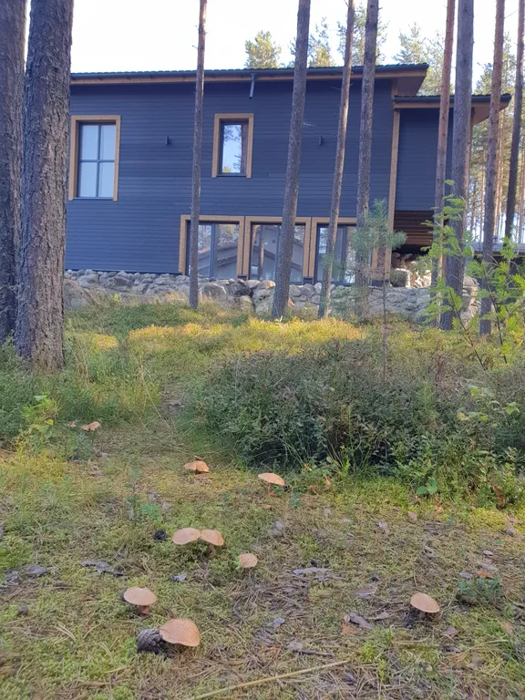 Семейный номер комфорт 2 ком. Вид на озеро и парк, в гост. Доме ранта