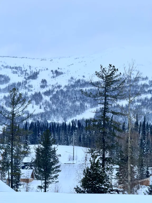 Коттедж в стиле Лофт недалеко от горы