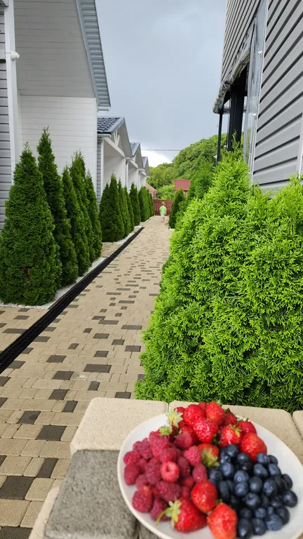 Гостевой комплекс New Mexico дом №5