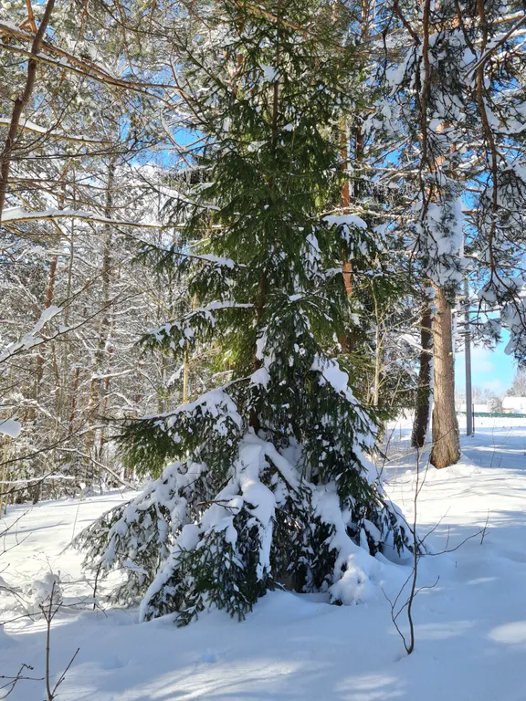 Коттедж Коттеджи у озера — Луга