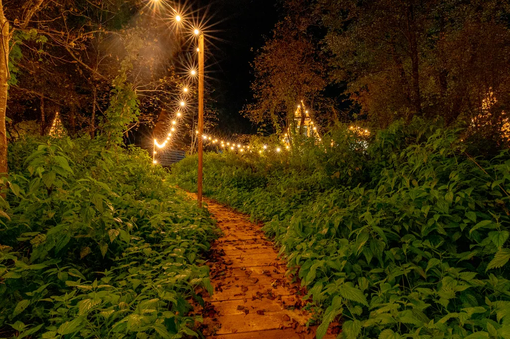 Дом Барнхаус