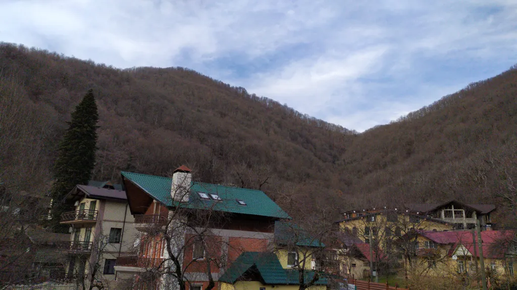 Студия с видом на горы и лес