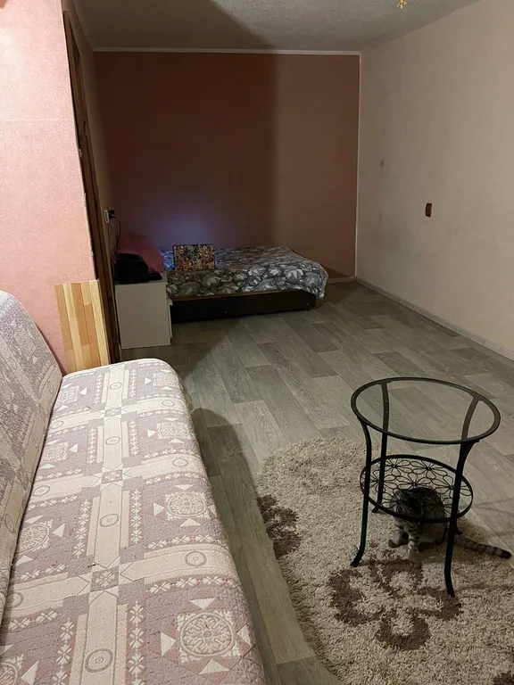 Квартира с видом на Кремль через дорогу от метро