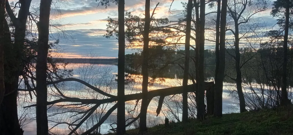 Эко отель Смородина