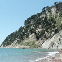 Алёна