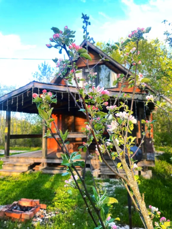 Дом Избушка Луна