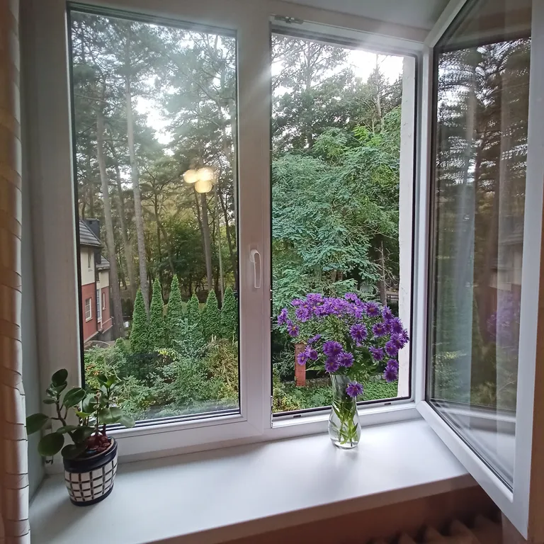 Квартирка в сосновом бору в центре