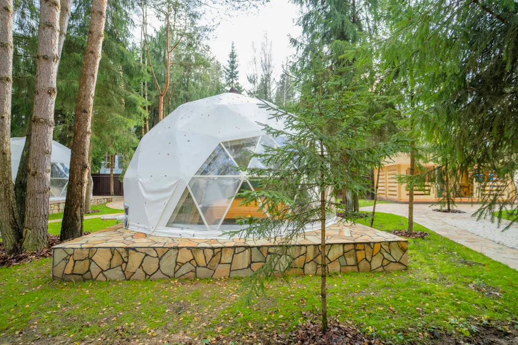 Сфера в сосновом лесу