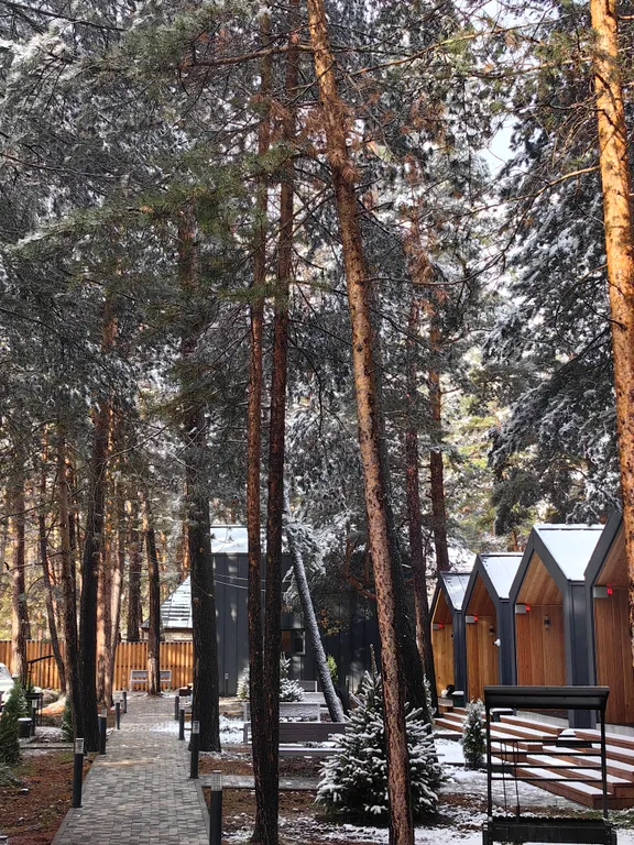 Просторный номер с большой террасой в сосновом бору Приэльбрусья