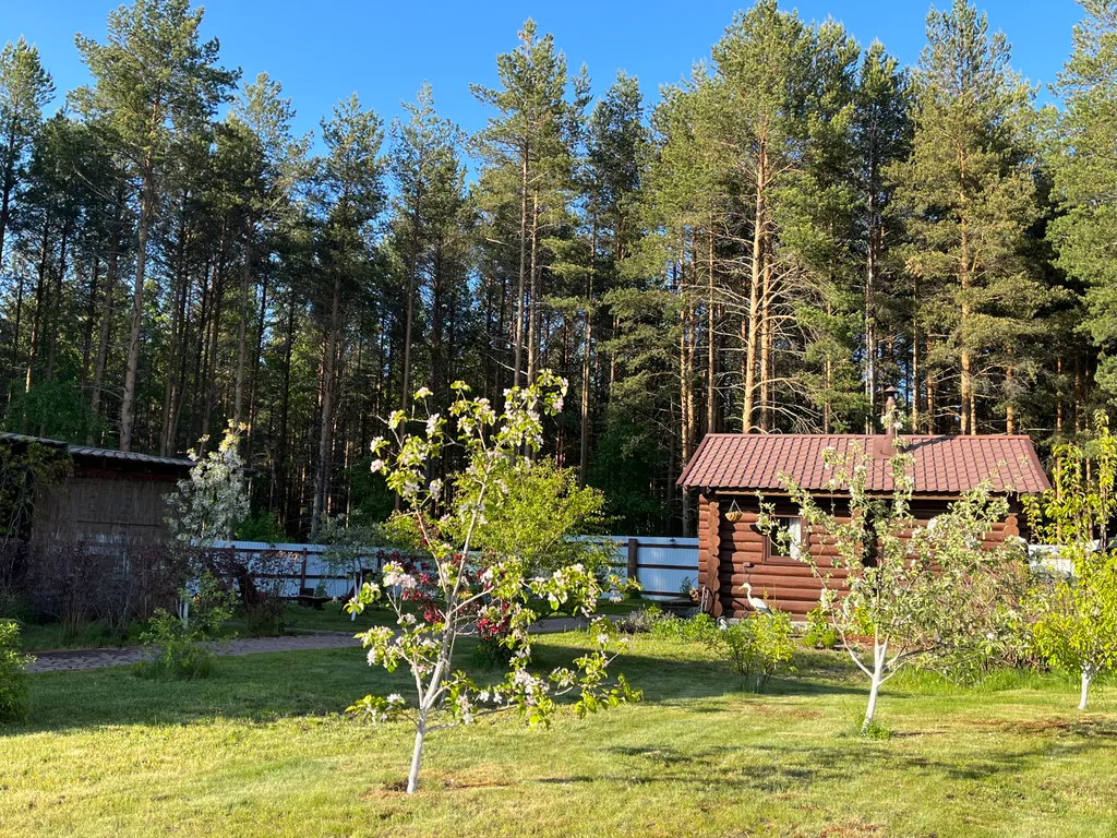 Коттедж Гостевой домик в Сосновом бору — Деревянное