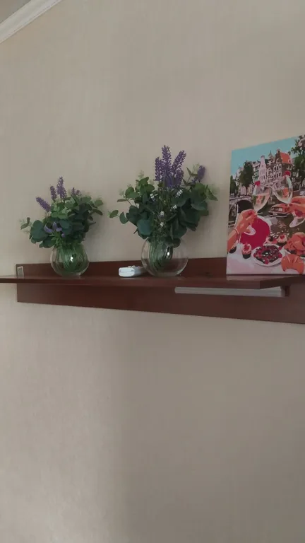 Комфортная однокомнатная квартира