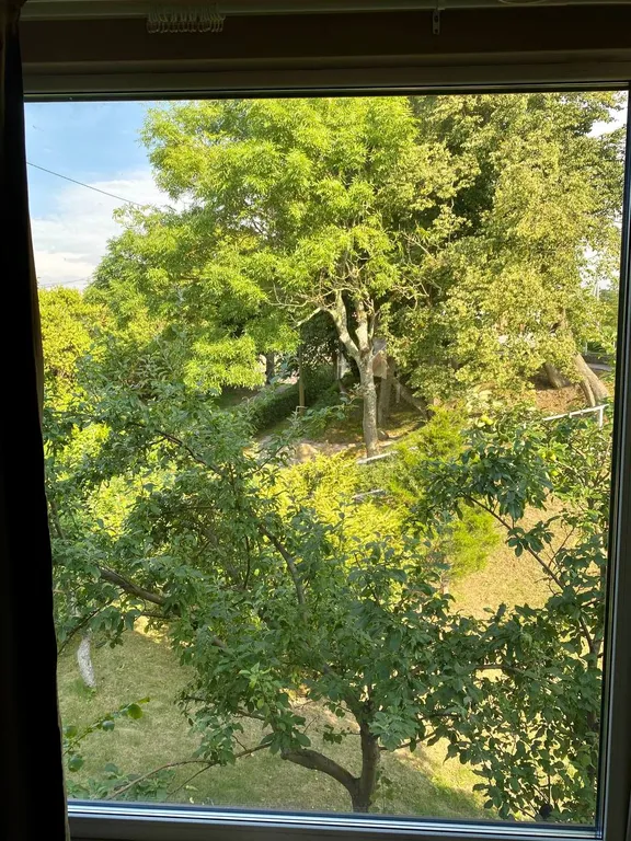 Зелёный дом