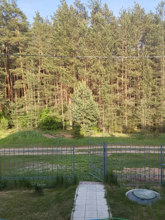 Дом в сосновом бору на озере