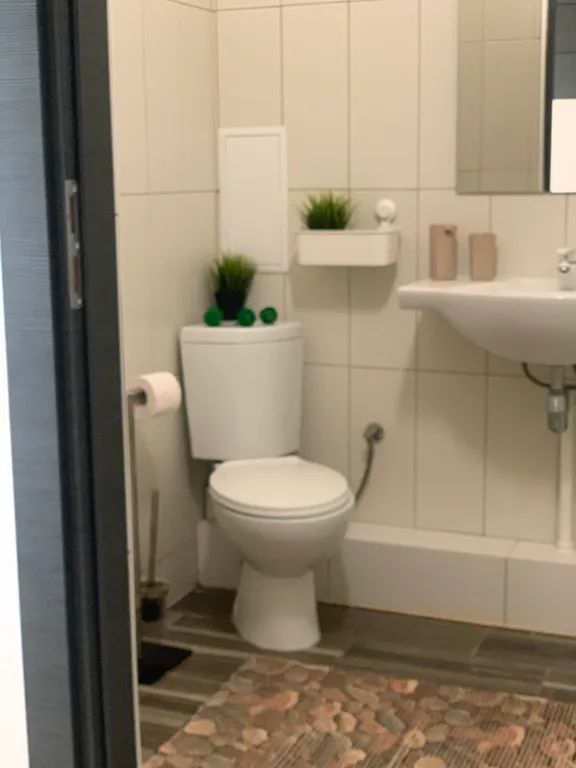 Квартира Однокомнатная квартира возле озера Тихого — Светлогорск