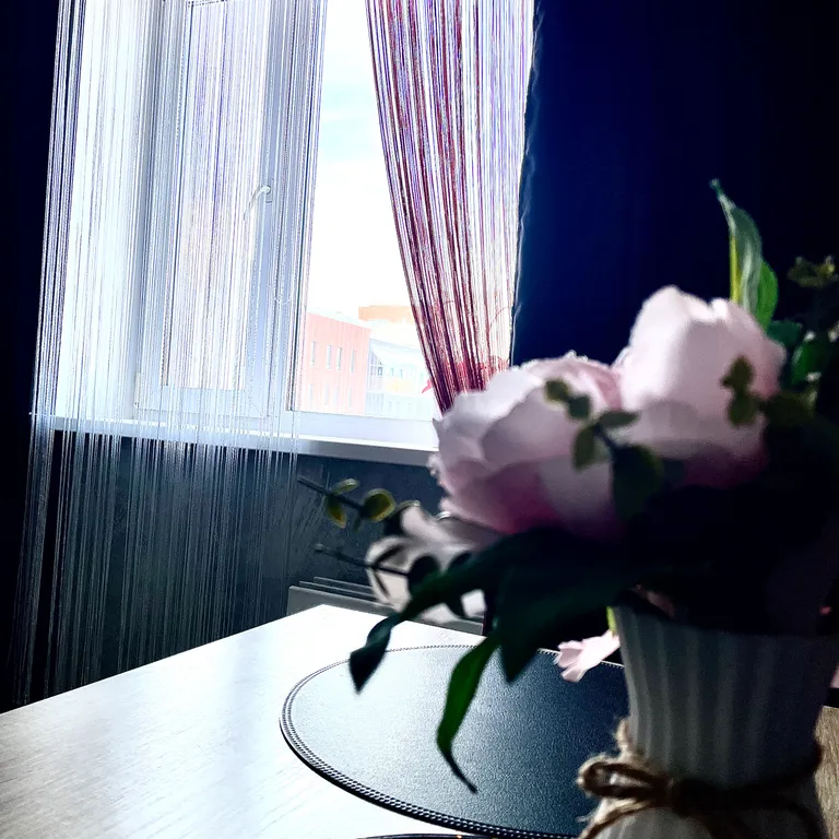 Уютная квартира в центре садового