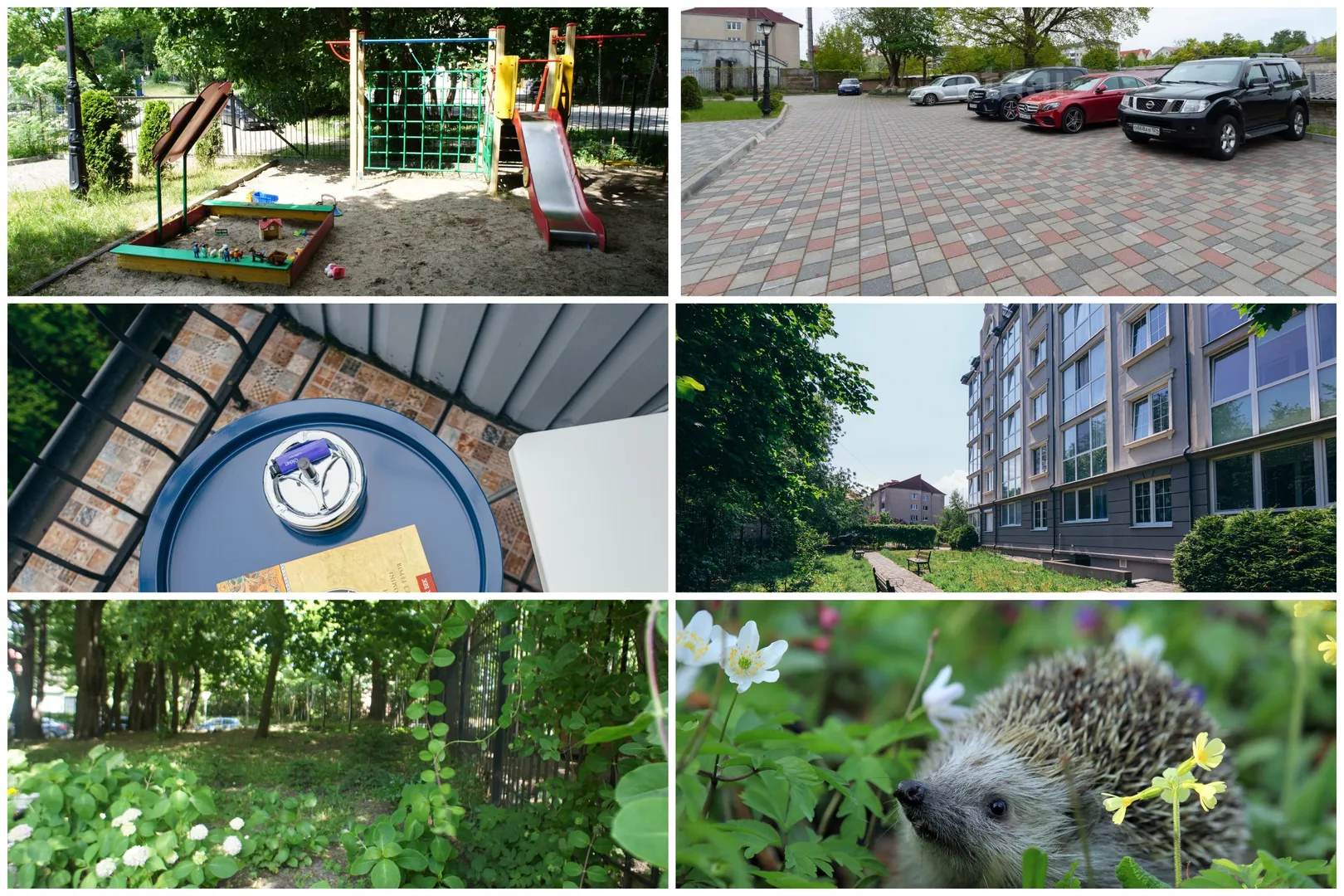Фото