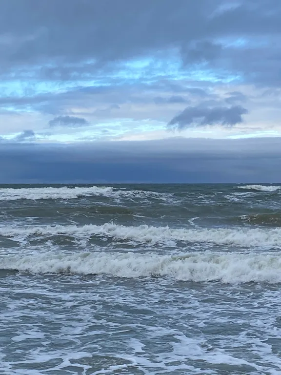 Квартира Уютная и светлая квартира рядом с морем — Светлогорск