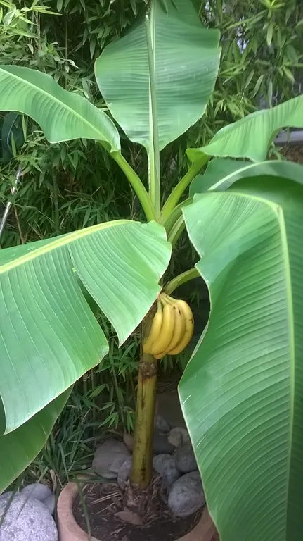 Дом 2 уровня со своим двором