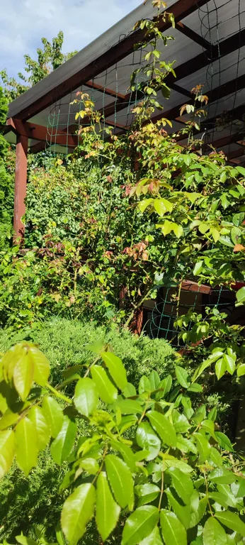 Домик рядом с пляжем