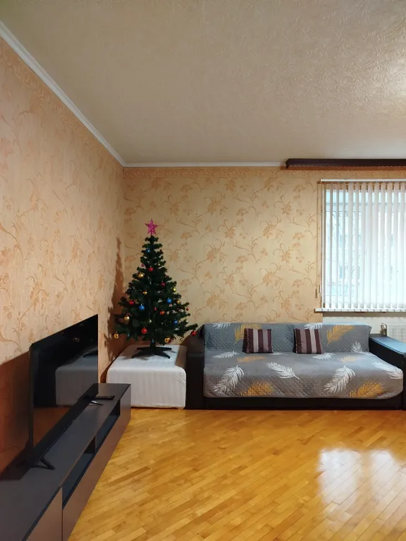 Вместительная квартира на театральной площади