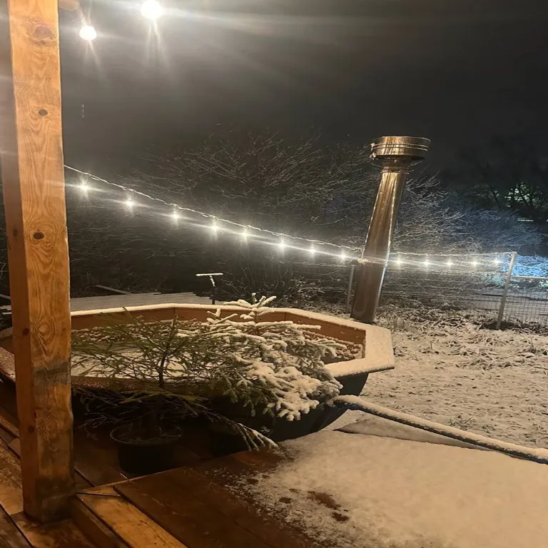 Коттедж Гостевой дом у озера с чаном и баней, лес, рыбалка, квадроциклы, лыжи — Москва