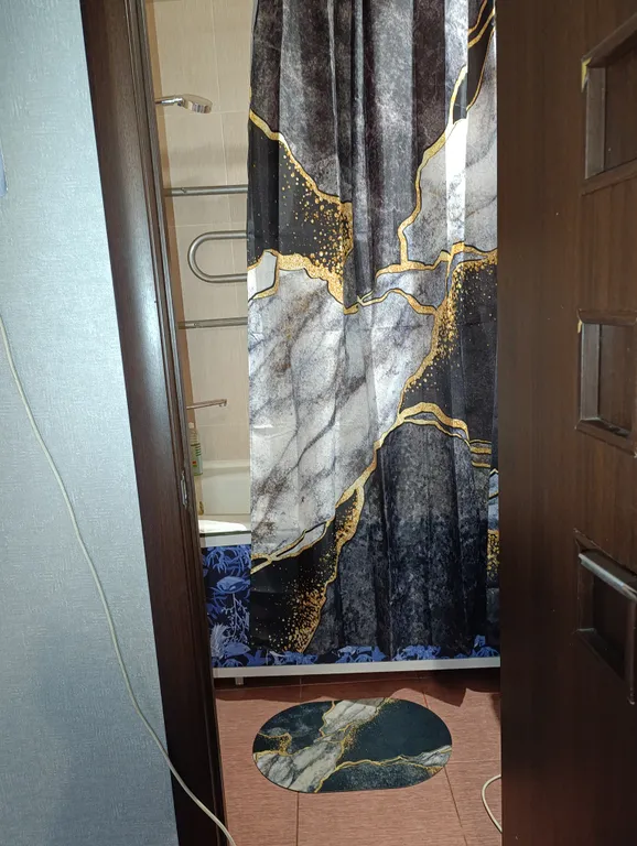 Чижовка Арена, Дельфинарий, Дино-парк, метро Автозаводская 10мин