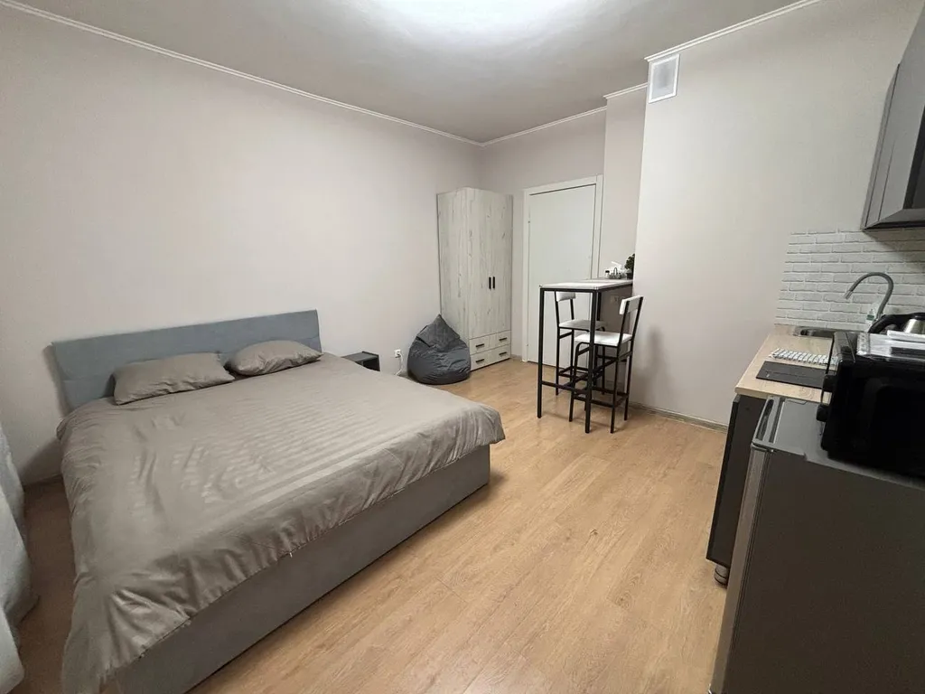 Квартира Уютная студия со всем необходимым для комфортного проживания — Мисайлово