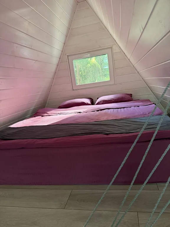 Домик в сосновом лесу aframe 2