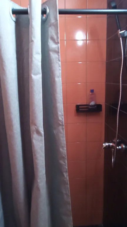 Четырёхместный аппартамент в соснах у моря