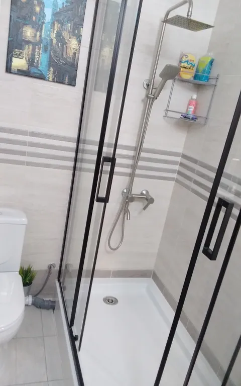 Квартира 1-комнатная Квартира — Светлогорск