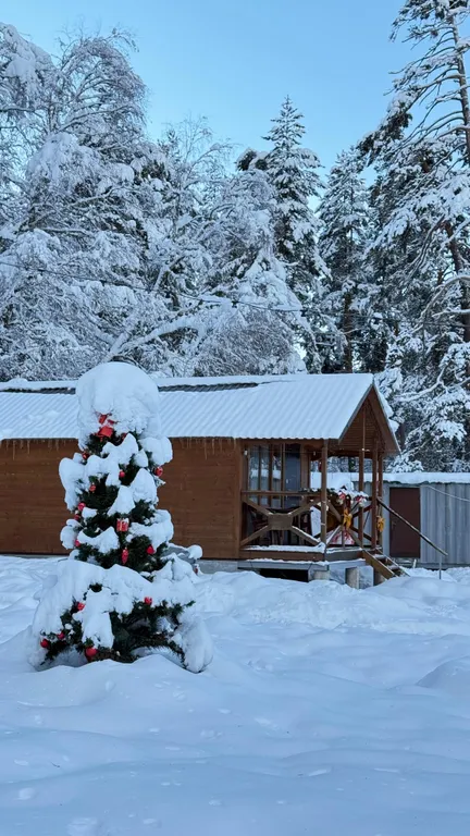 Шале с видом на горы