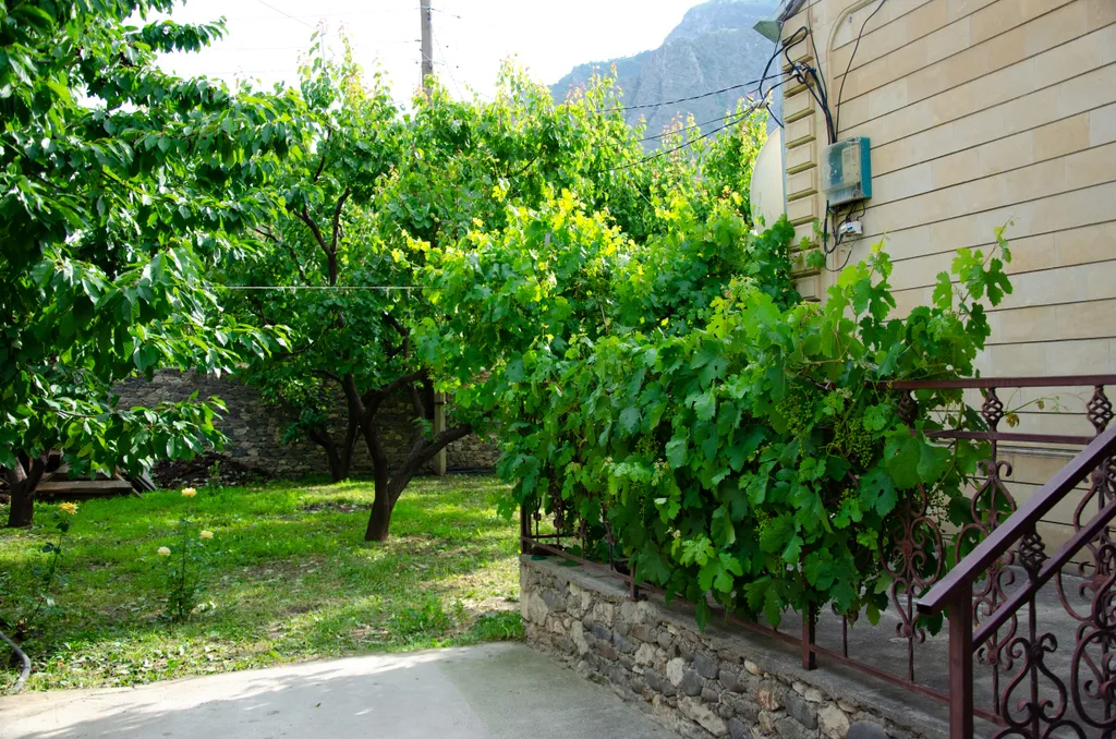 Комната в Гергебиле