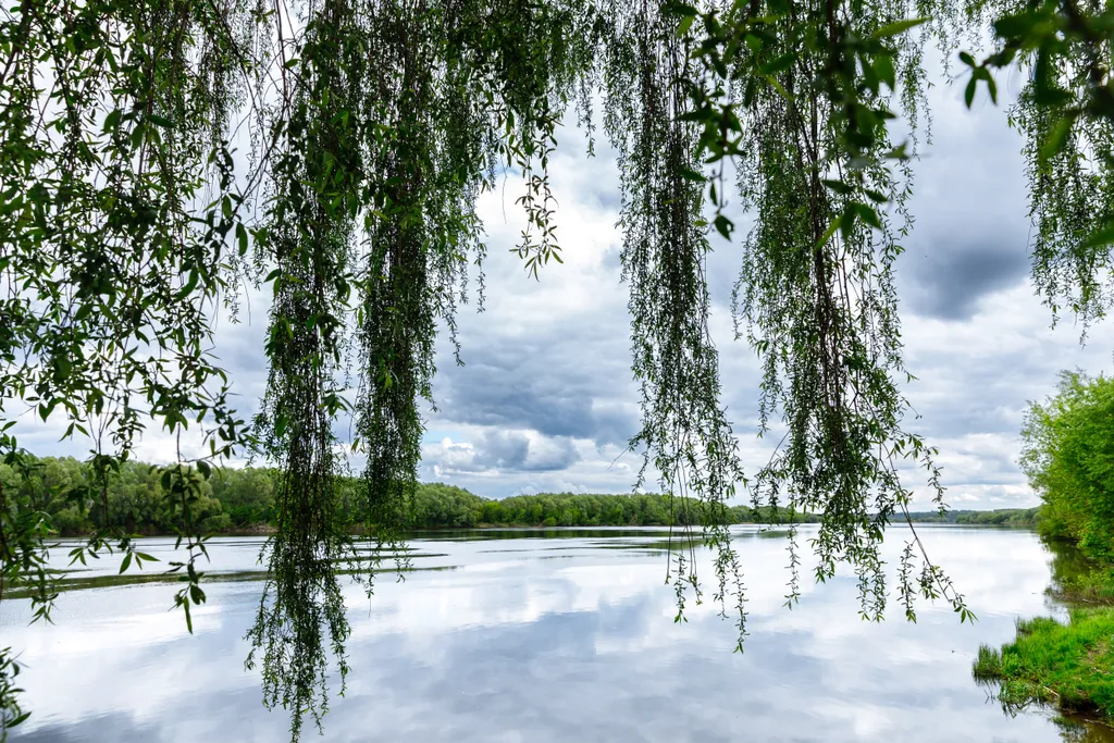 Коттедж Дом мечты у реки — Луховицы