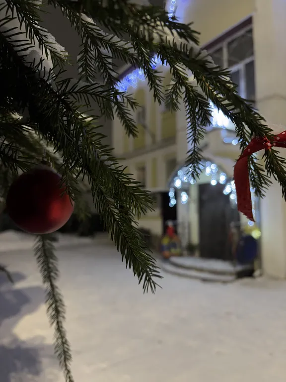 Дом у парка Берендеевка